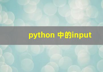 python 中的input